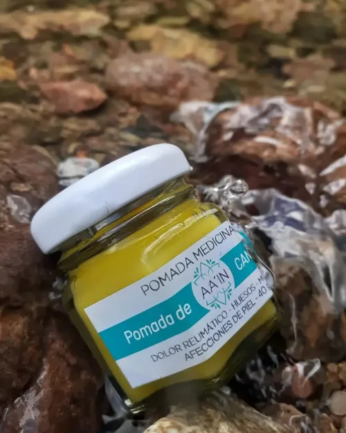Pomada medicinal de Jarilla y Árnica 