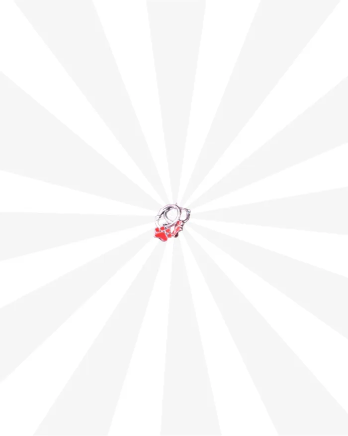 Aros colgantes con dije 2