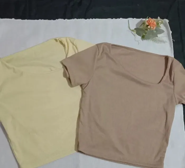 Remeras lisas 2