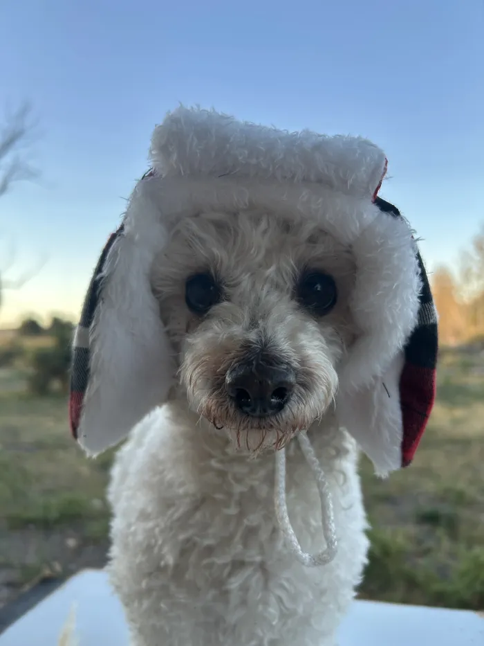 Gorrito Aviador  2