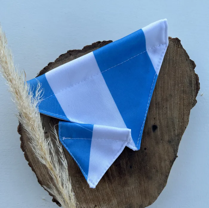 Bandana Argentina 