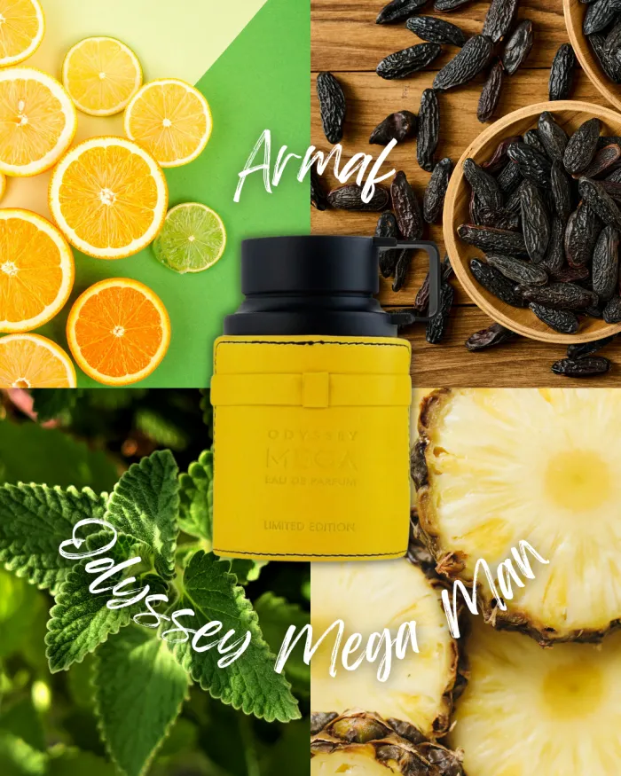 Odyssey Mega Man - Armaf 2