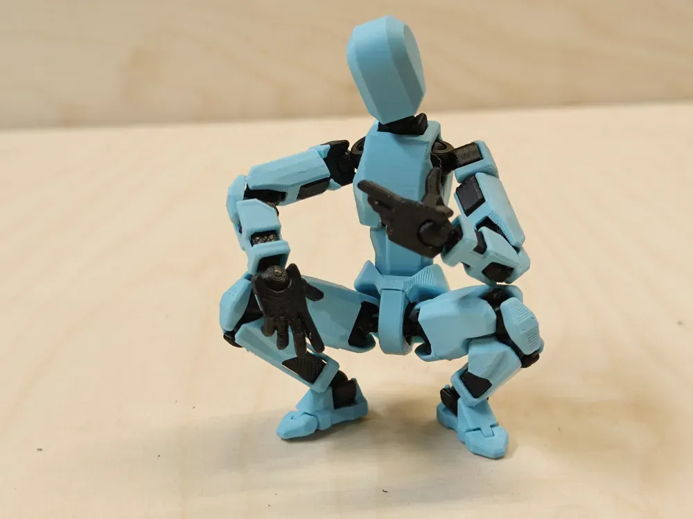 Dummy 13 ( 17 cm)  2