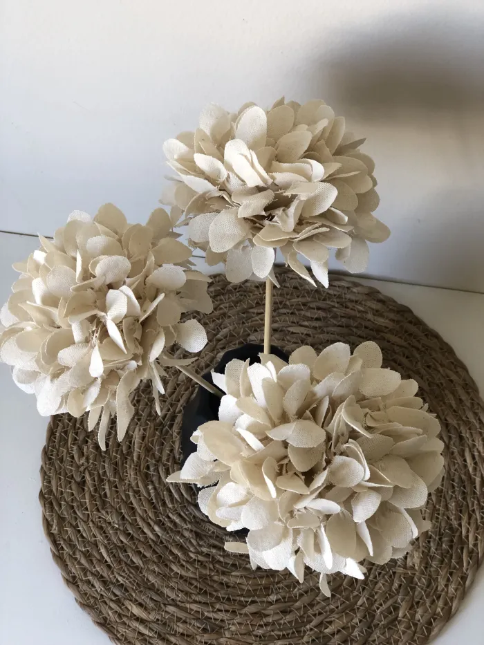 HORTENSIAS ETERNAS 2