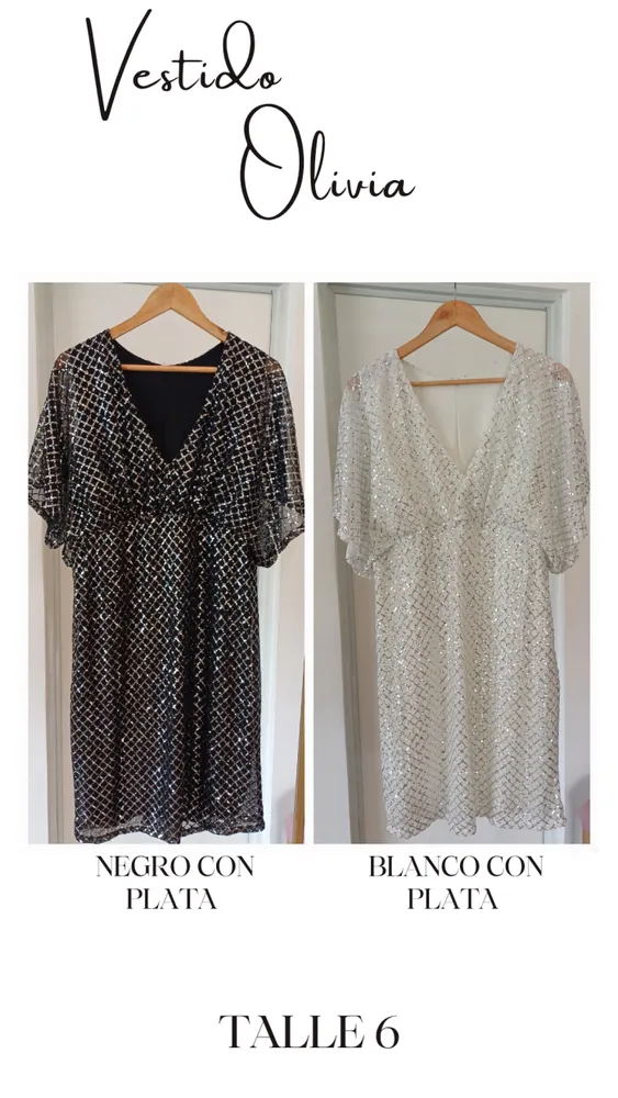 Vestido lentejuelas  2