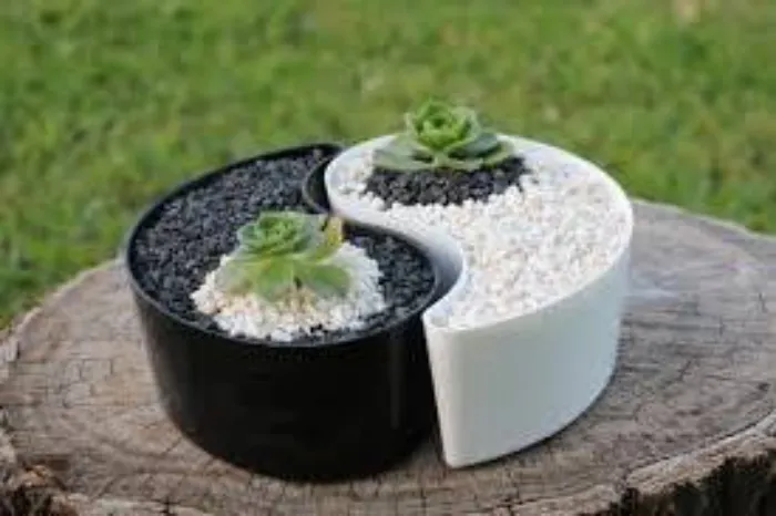 Macetas Yin-Yang
