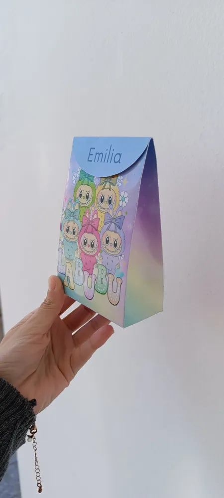 BOLSITA CON SOLAPA CHICA  2