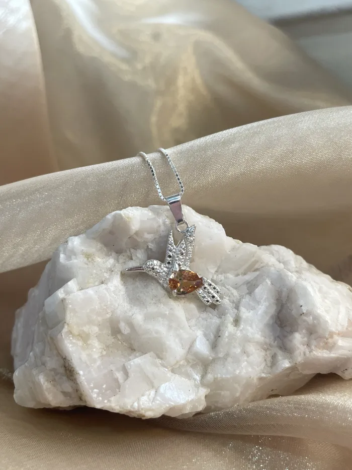 Colibri con piedra 2