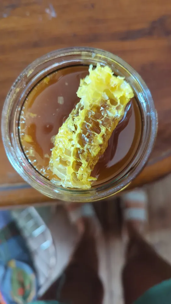 Miel de monte nativo