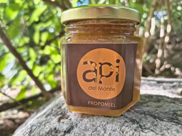 Propomiel x 250 grs