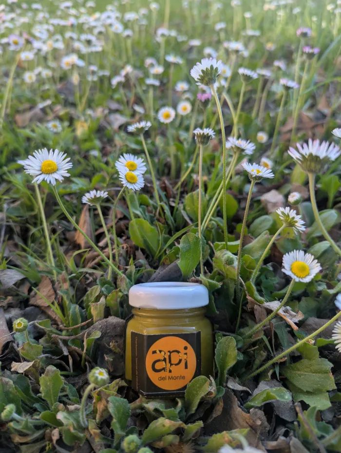 Cremas con miel y cera de abejas
