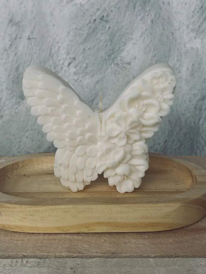 Mariposa grande 