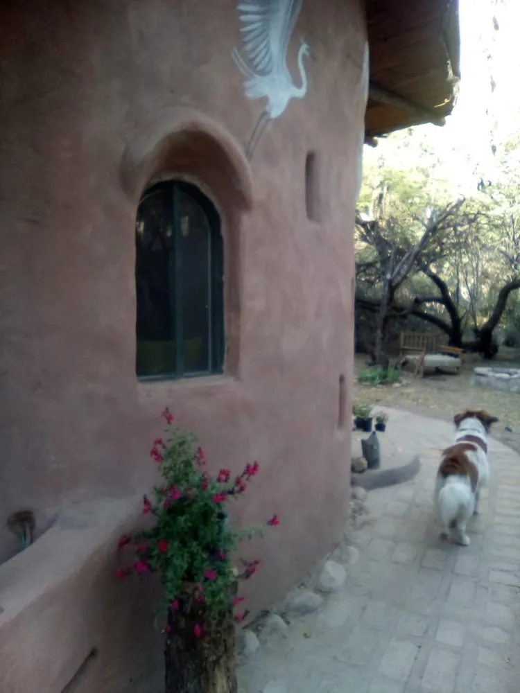 Galeria de imagenes 4