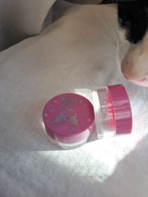 Polvo traslúcido mini