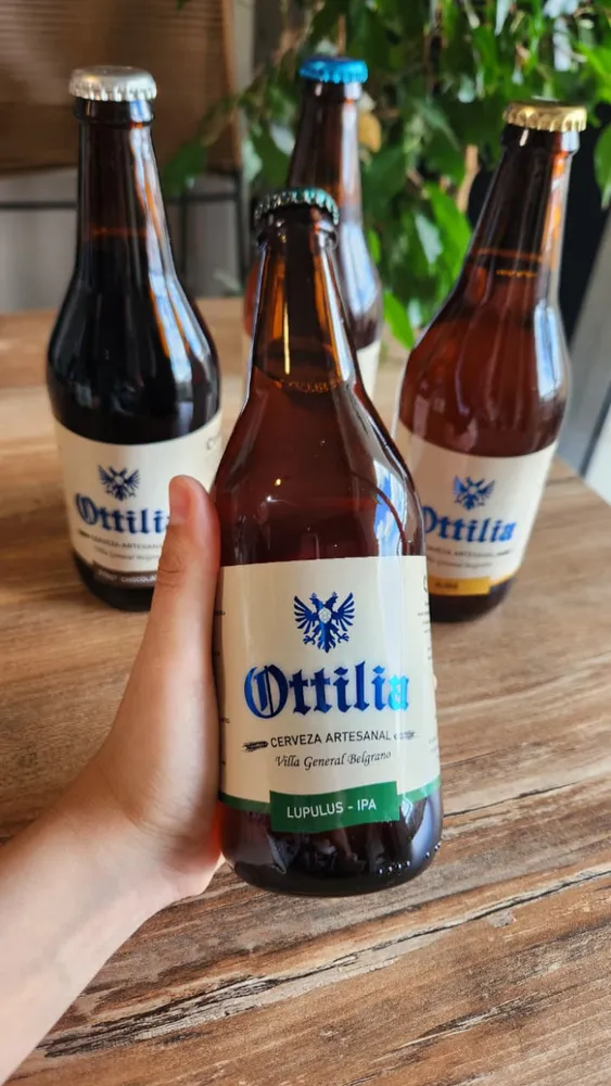 Pack cerveza artesanal x3