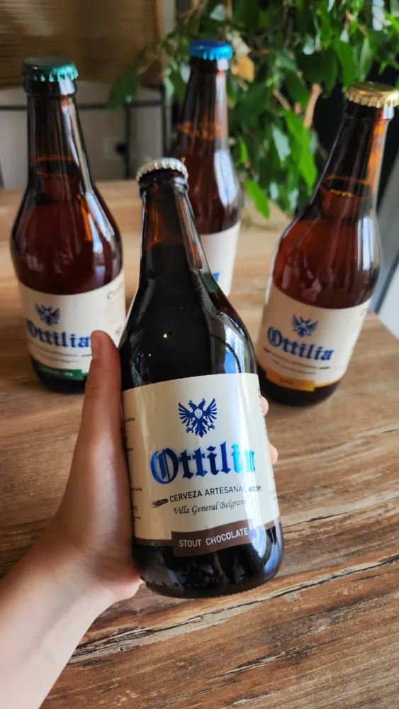 Pack cerveza artesanal x3 2