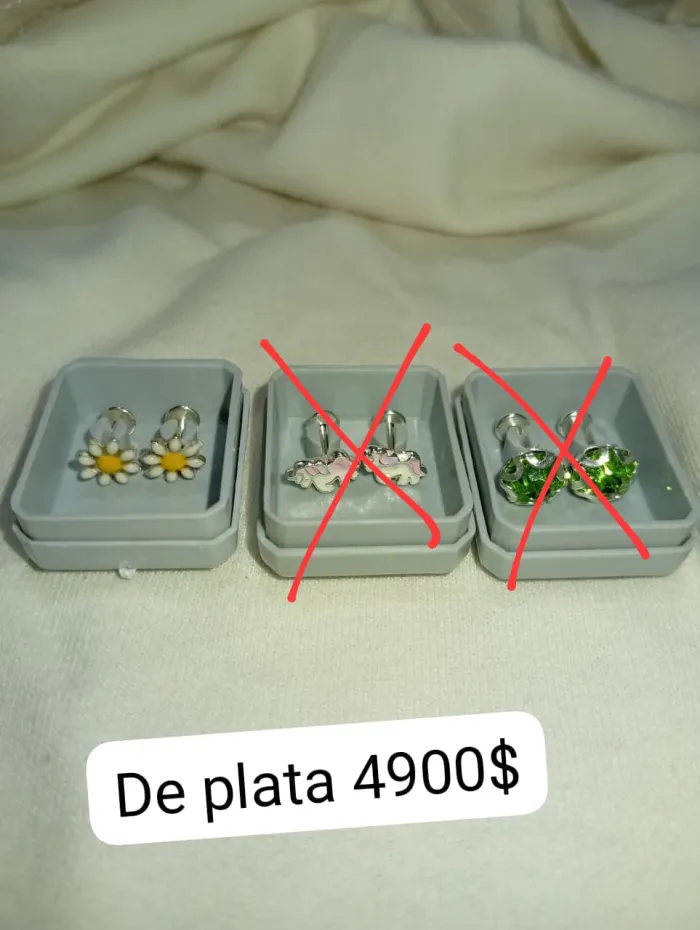 Aros de Plata Elegantes 2