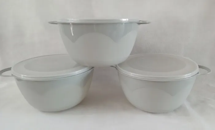 Bowl con tapa 2,5litros