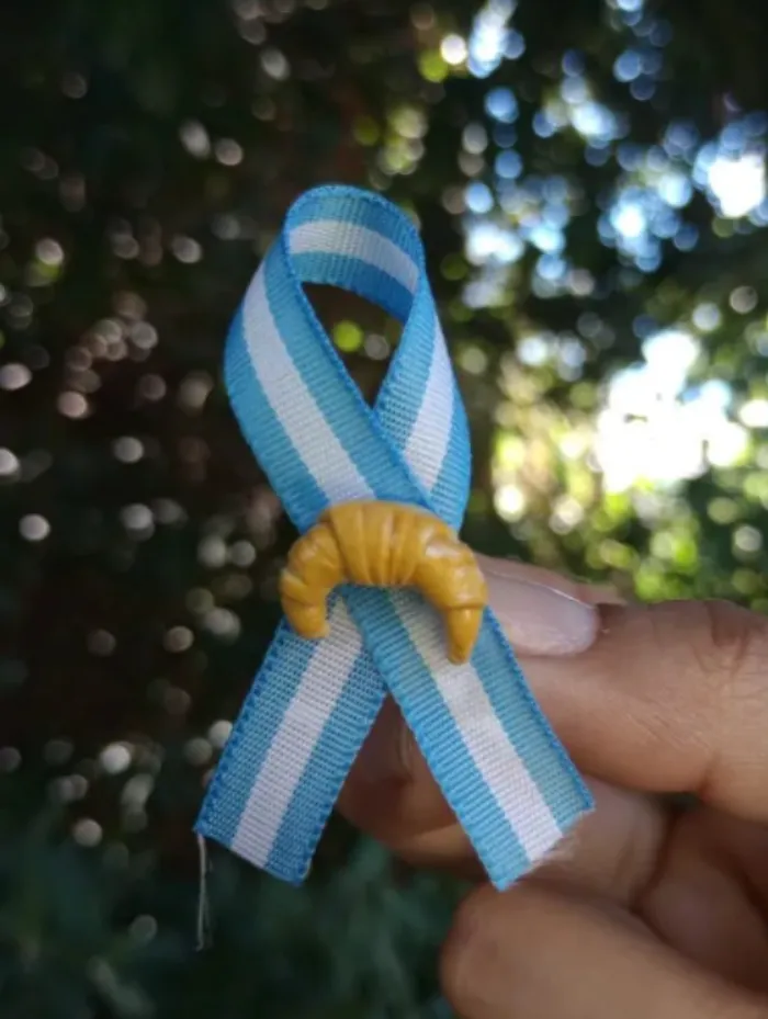 Escarapelas💙🤍 2