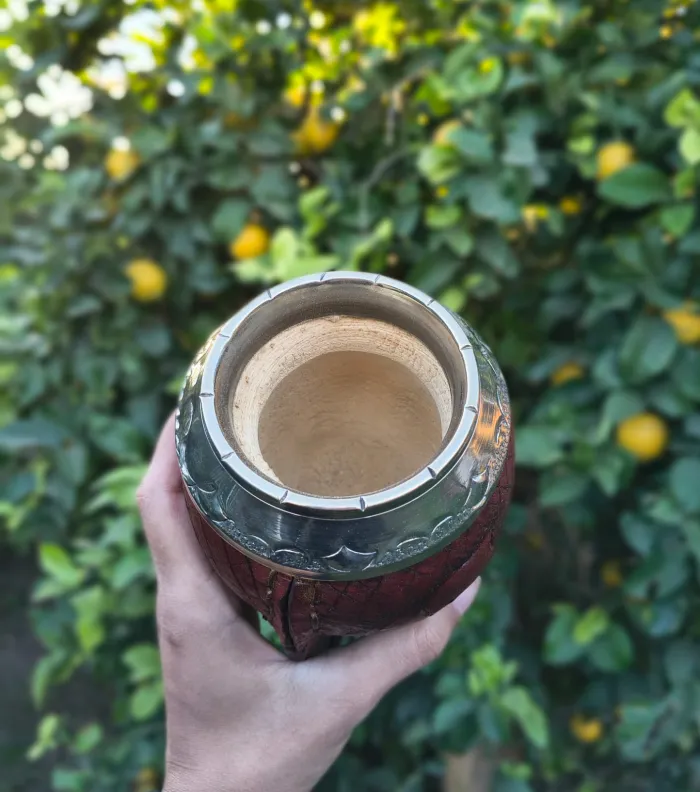 Mate Torpedo 🧉 2