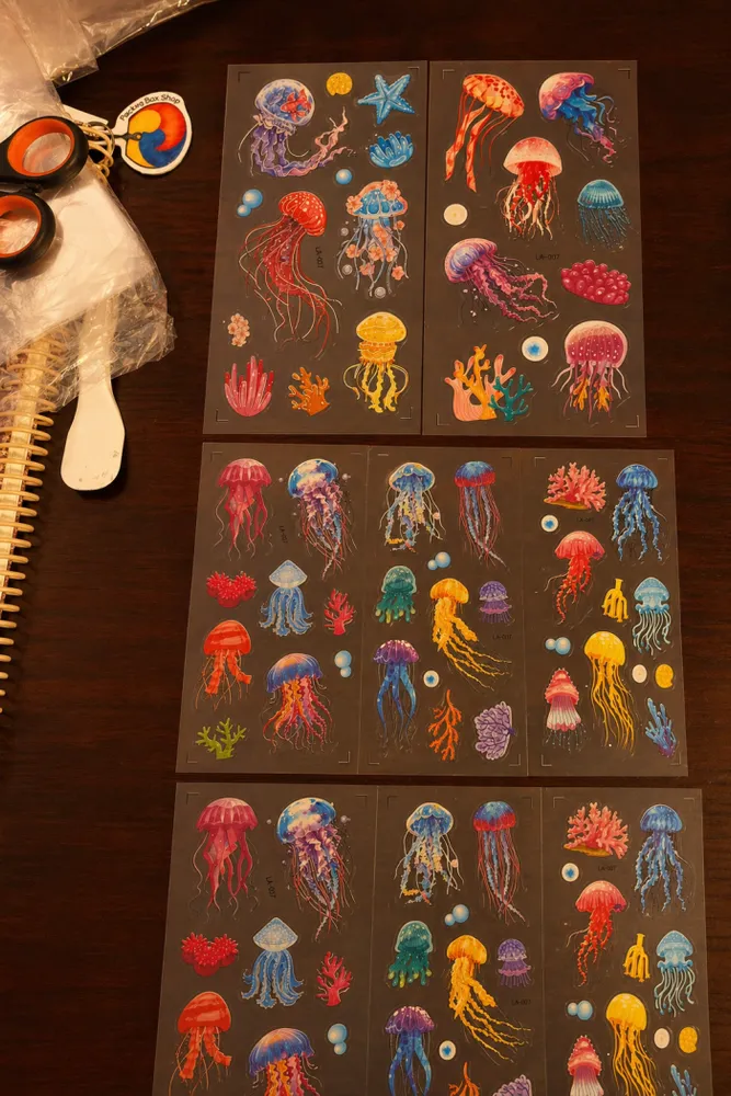 Medusas pet