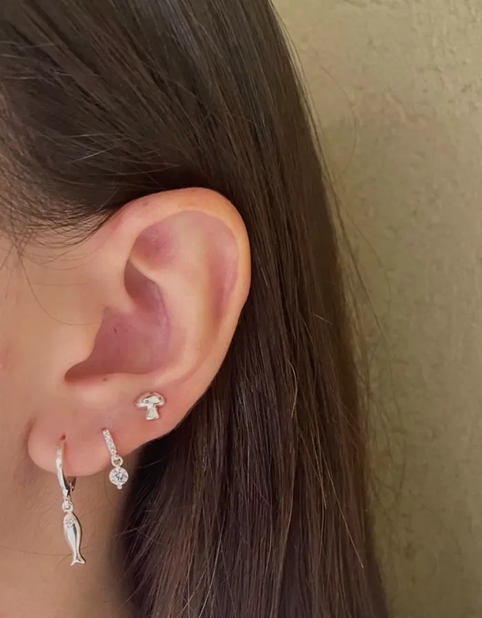 Aros y argollas