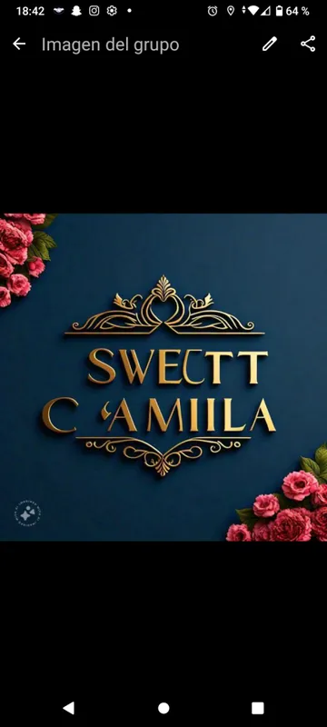 Logo de Camila accesorios 