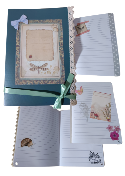 Cuaderno, Diarios para niñas/niños