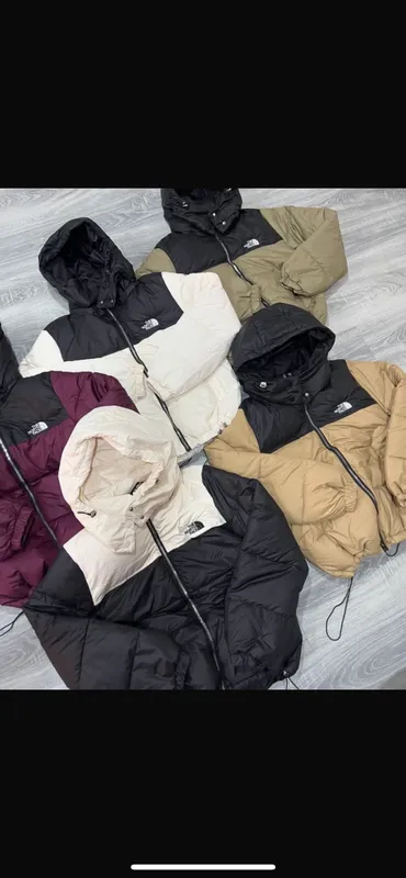 Campera Apolo 2