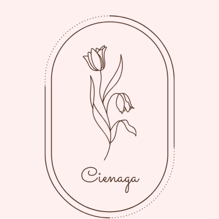 Logo de Cienaga Aromas 