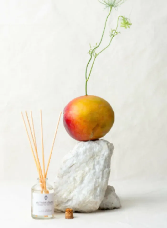 Difusor de Ambientes x 50 ml