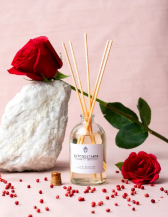 Difusor de ambiente 100ml 