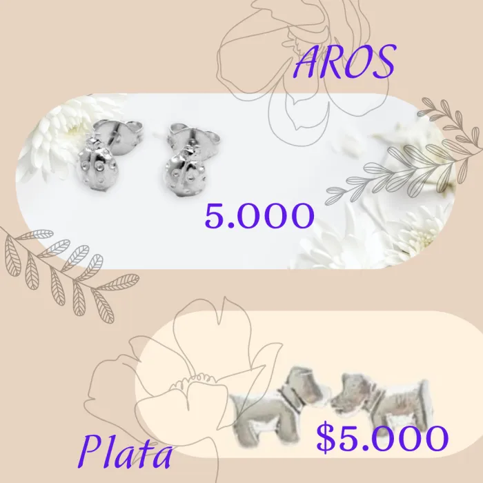 Aros Plata