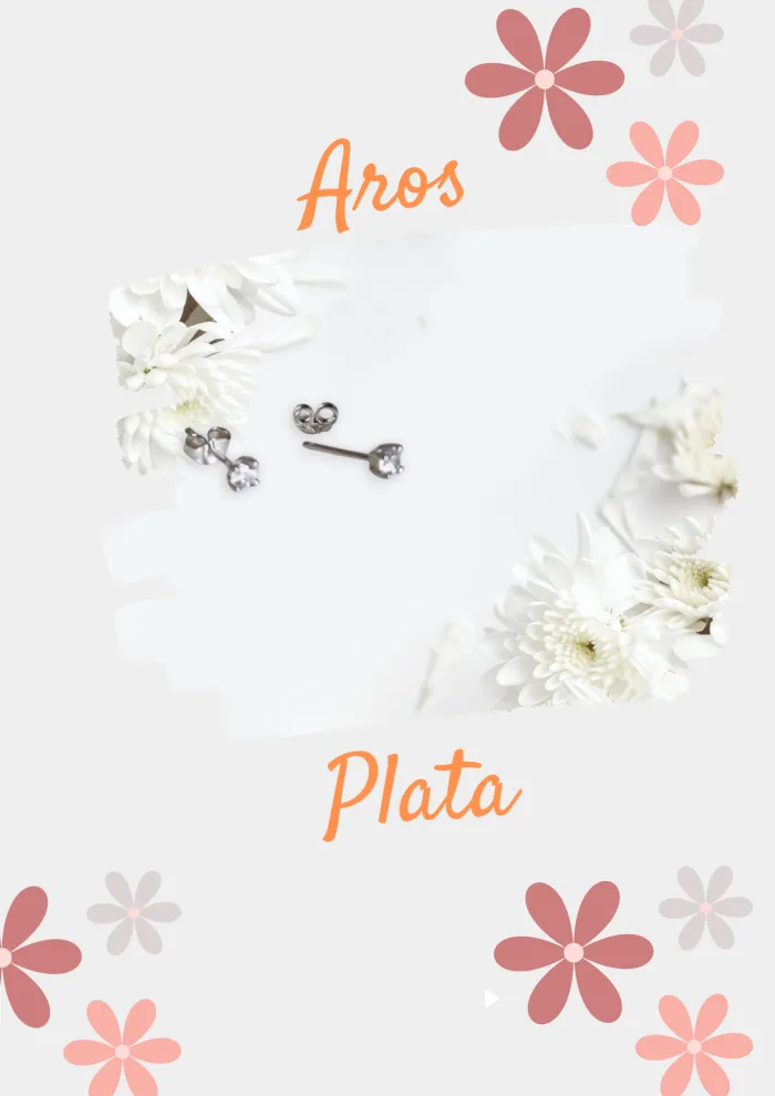 Aros Plata  2
