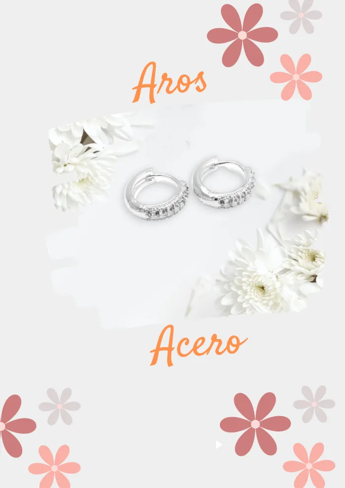 Aros Acero /Acero Dorado 2