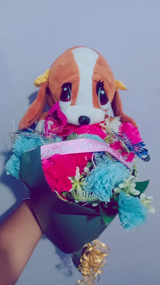 Ramos varios y regalos