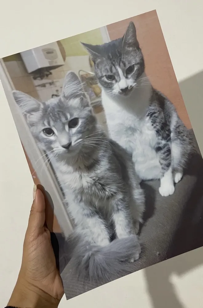 Foto A4