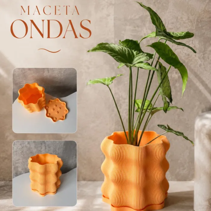 Macetas