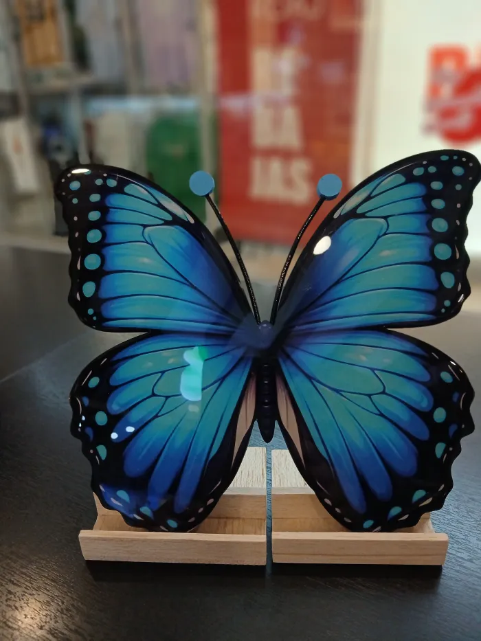 Mariposas AP 2