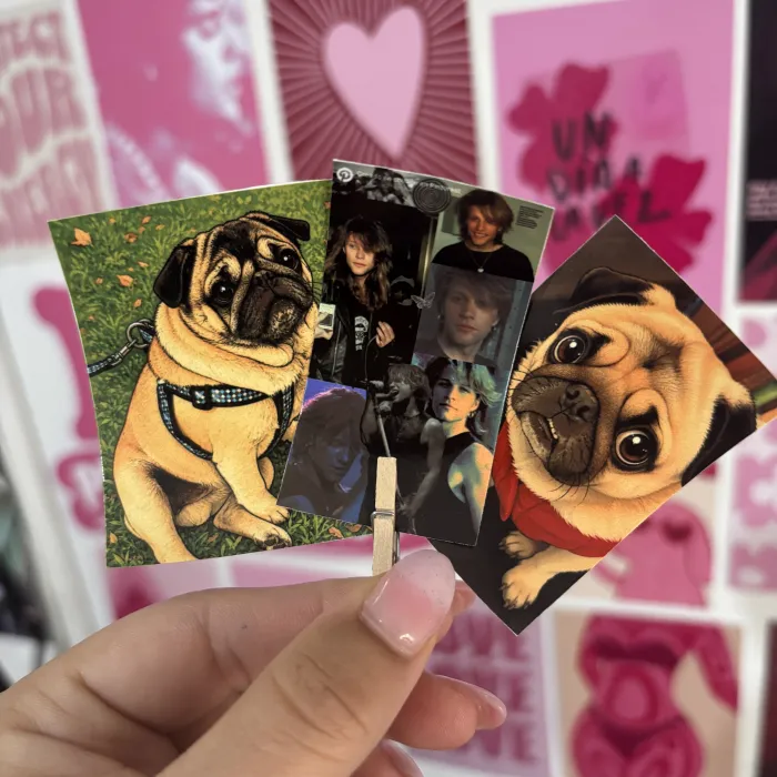 Sticker vinilos 