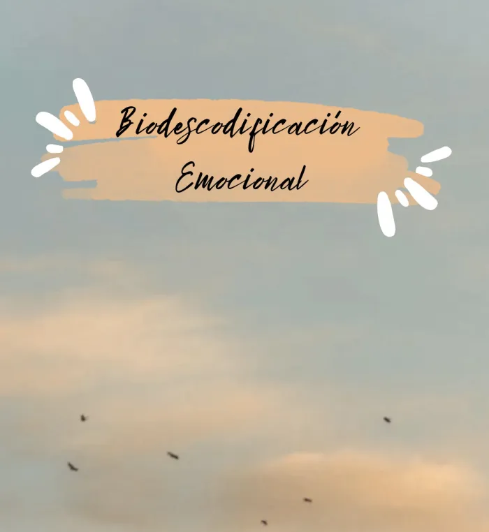 Biodescodificación: Descubriendo patrones 