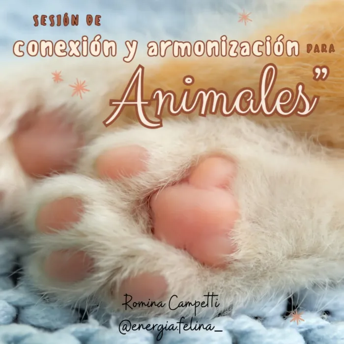 Conexión y armonización animal.
