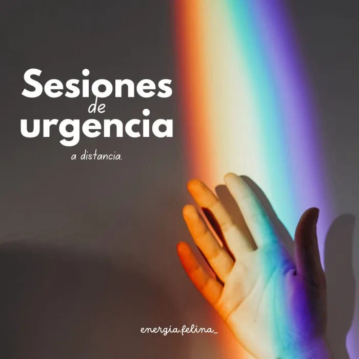 Sesión de urgencia para animales.