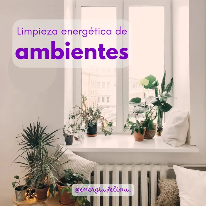 Limpieza/armonización de ambientes