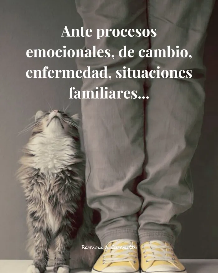 Terapia integral animal-humano 2