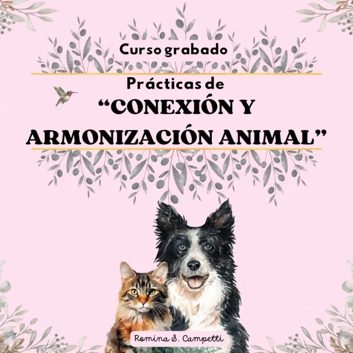  Curso ''Conexión y armonización animal''