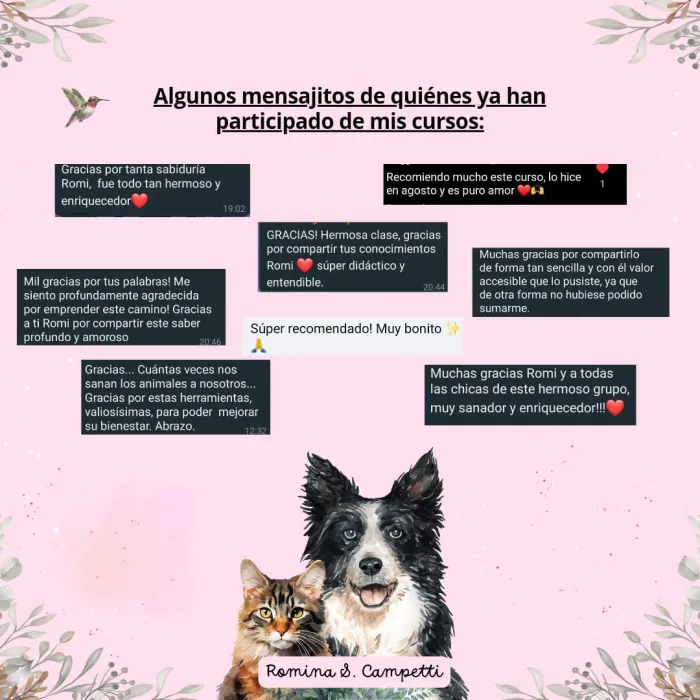  Curso ''Conexión y armonización animal'' 2