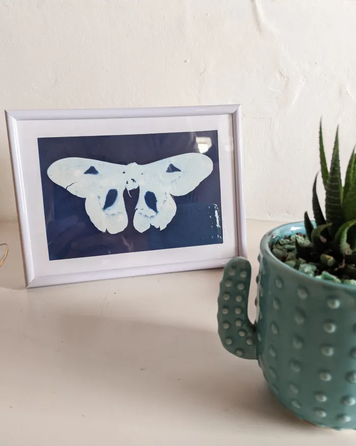 Silueta de mariposa 2