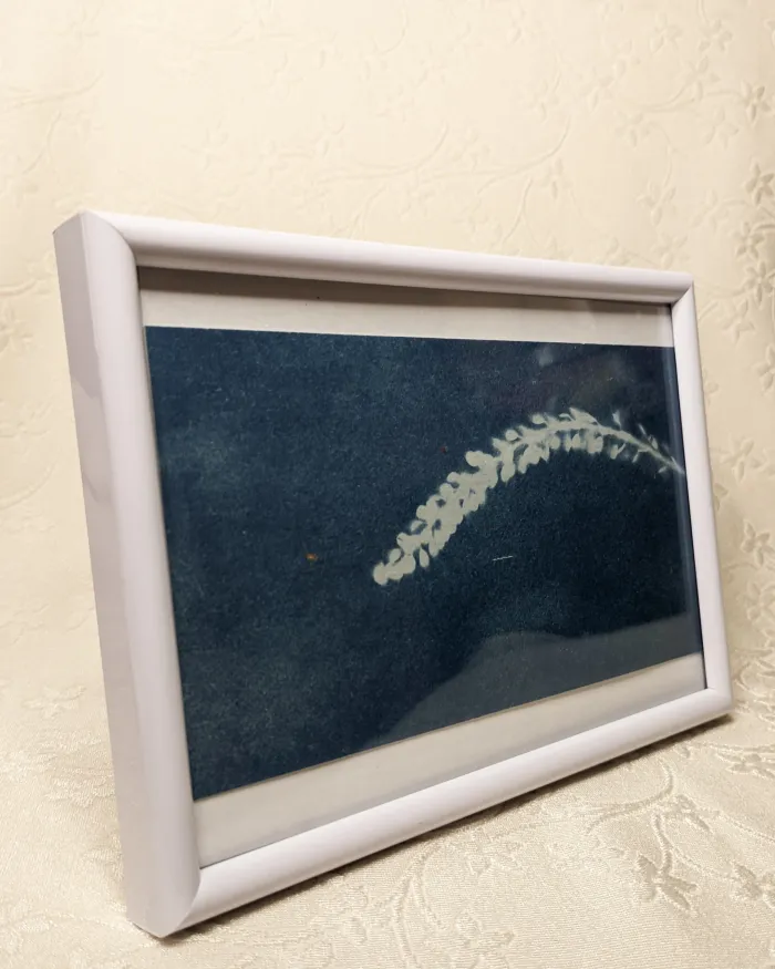 Silueta botánica  2