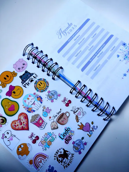 Agenda Sueña con todo tu corazón  2